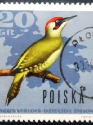 Selo postal da Polônia de 1966 European Green Woodpecker MCC