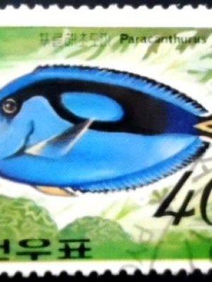 Selo postal da Coréia do Norte de 1991 Palette Surgeonfish MCC