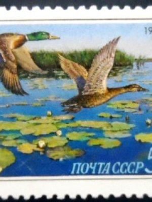 Selo postal da União Soviética de 1990 Mallard M