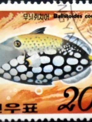 Selo postal da Córéia do Norte de 1991 Clown Triggerfish MCC