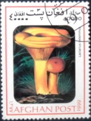 Selo postal do Afeganistão de 1999 False saffron milk-cap MCC