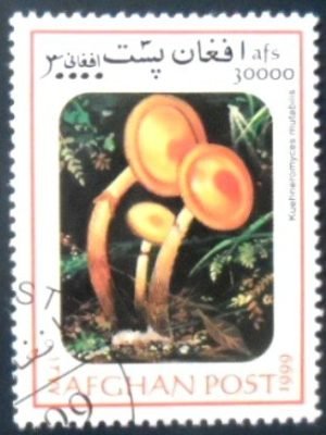 Selo postal do Afeganistão de 1999 Sheathed woodtuft MCC