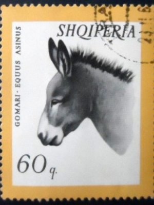 Selo postal da Albânia de 1966 Donkey NCC