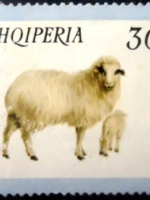 Selo postal da Albânia de 1966 Domestic Sheep NCC