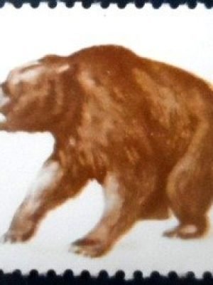 Selo postal da Albânia de 1965 Brown Bear 55 M