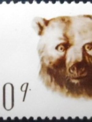 Selo postal da Albânia de 1965 Brown Bear 50