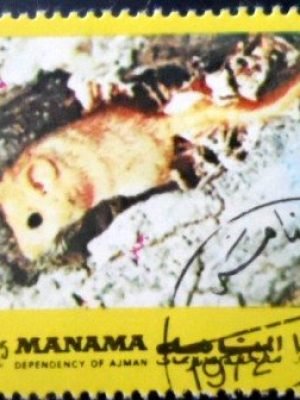 Selo postal de Manama de 1972 Mouse MCC