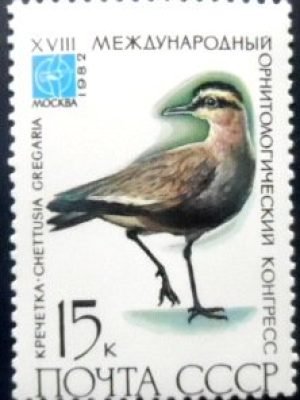 Selo postal da União Soviética de 1982 Sociable Plover M