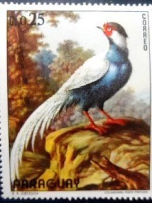 Selo postal do Paraguai de 1972 Silver Pheasant N