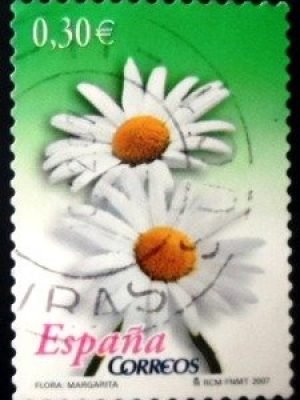Selo postal da Espanha de 2007 Ox-eye daisy U