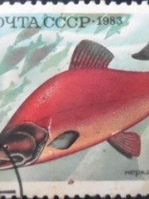 Selo postal da União Soviética de 1983 Sockeye Salmon U