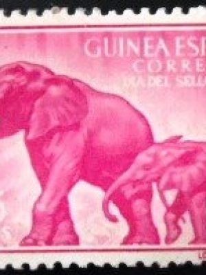 Selo postal da Guiné Espanhola de 1957 African Forest Elephant M