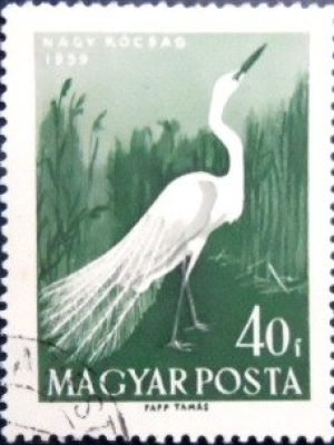 Selo postal da Hungria de 1959 Great Egret NCC
