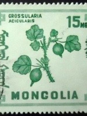 Selo postal da Mongólia de 1968 Goose-berries U