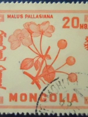 Selo postal da Mongólia de 1968 Malus pallasiana U