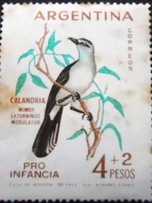 Selo postal da Argentina de 1962 Chalk-browed Mockingbird U