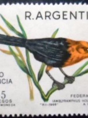 Selo postal da Argentina de 1967 Scarlet-headed Blackbird N