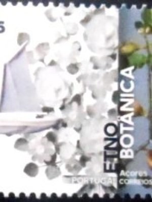 Selo postal de Portugal de 2023 Boat Sculpture and Fig Tree M