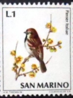 Selo postal de Sam Marino de 1972  Italian sparrow U