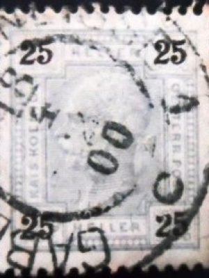 Selo postal da Áustria de 1899 Emperor Franz Joseph 25 U