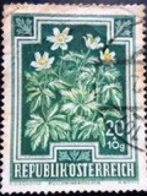 Selo postal da Áustria de 1948 European Wood Anemone U