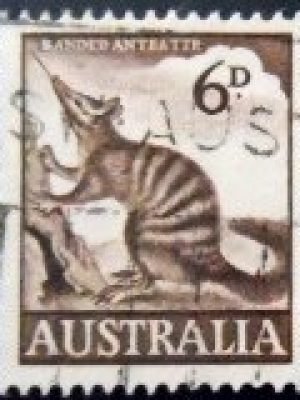 Selo postal da Austrália de 1960 Numbat U