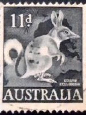 Selo postal da Austrália de 1961 Greater Bilby U