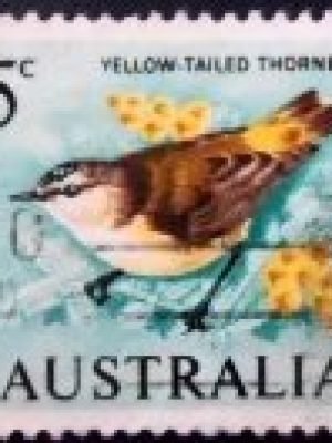 Selo postal da Austrália de 1966 Yellow-Tailed Thornbill U