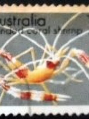 Selo postal da Austrália de 1973 Banded Coral Shrimp U