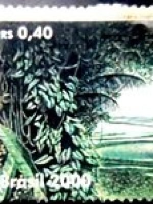 Selo postal do Brasil de 2000 Árvores U