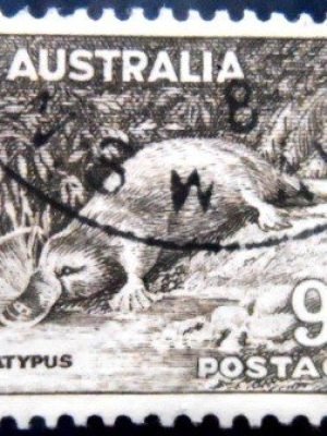 Selo postal da Austrália de 1938 Platypus U sev