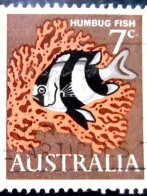 Selo postal da Austrália de 1966 Humbug Fish U