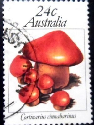 Selo postal da Austrália de 1981 Cortinarius cinnabarinus U