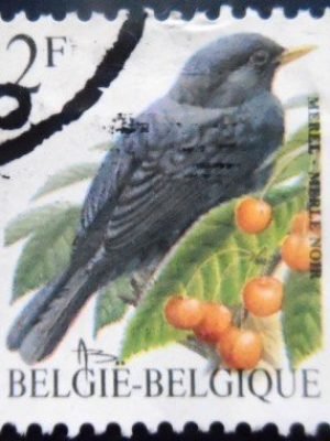 Selo postal da Bélgica de 1992 Common Blackbird U