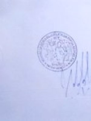 Selo postal de Malmedy de1921 King Albert I Overprint Malmédy 2 N