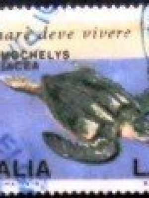 Se-tenant da Itália de 1978 Dusky Grouper and Leatherback Sea Turtle U