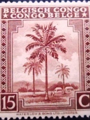 Selo postal do Congo Belga de 1942 Oil palm trees 15 M