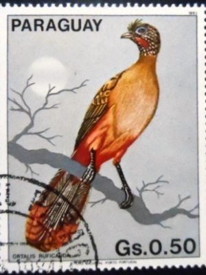 Selo postal do Paraguai de 1983 Rufous-vented Chachalaca MCC