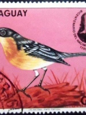 Selo postal do Paraguai de 1985 Tropical Parula MCC