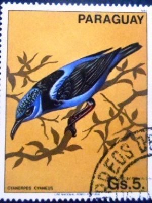 Selo postal do Paraguai de 1983 Red-legged Honeycreeper MCC