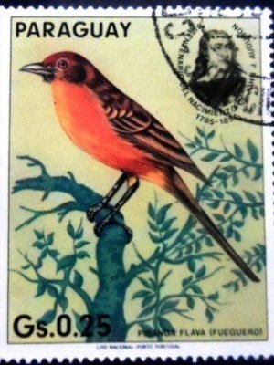 Selo postal do Paraguai de 1985 Hepatic Tanager MCC