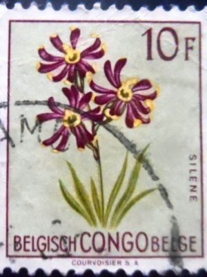 Selo postal do Congo Belga de 1952 Silene burchellii U