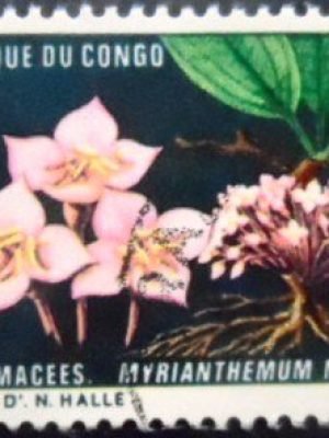 Selo postal da Rep Congo de 1970 Myrianthemum mirabile U