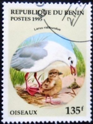 Selo postal do Benin de 1995 Black-headed Gull NCC