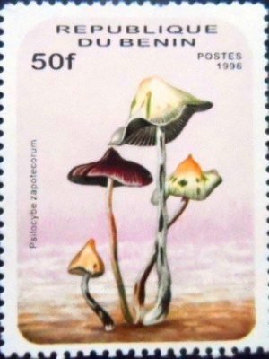 Selo postal do Benin de 1996 Psilocybe zapotecorum M