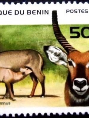 Selo postal do Benin de 1996 Waterbuck M