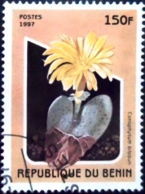 Selo postal do Benin de 1997 Conophytum bilobun NCC