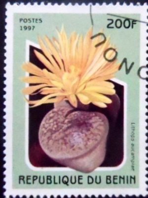 Selo postal do Benin de 1997 Lithops aucampiae NCC