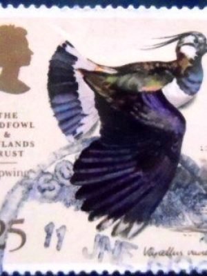 Selo postal do Reino Unido de 1996 Northern Lapwing U