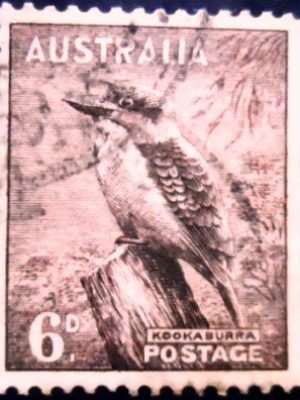 Selo postal da Austrália de 1956 Kookaburra 6 U sev